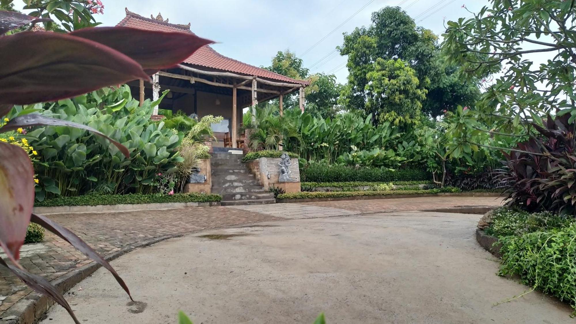 Eliska Sumberkima Pemuteran (Bali) Ngoại thất bức ảnh
