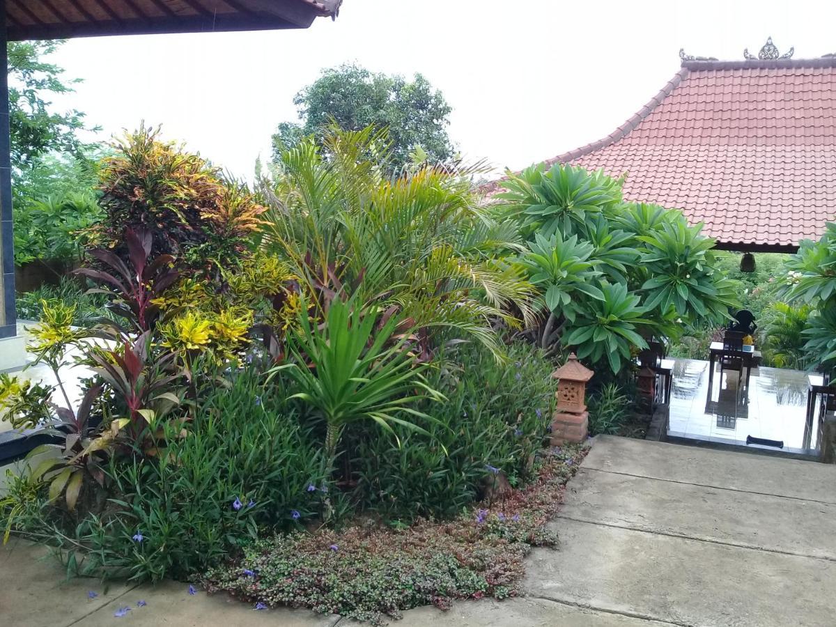 Eliska Sumberkima Pemuteran (Bali) Ngoại thất bức ảnh