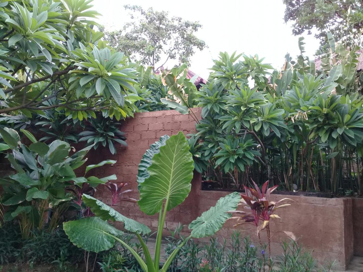Eliska Sumberkima Pemuteran (Bali) Ngoại thất bức ảnh