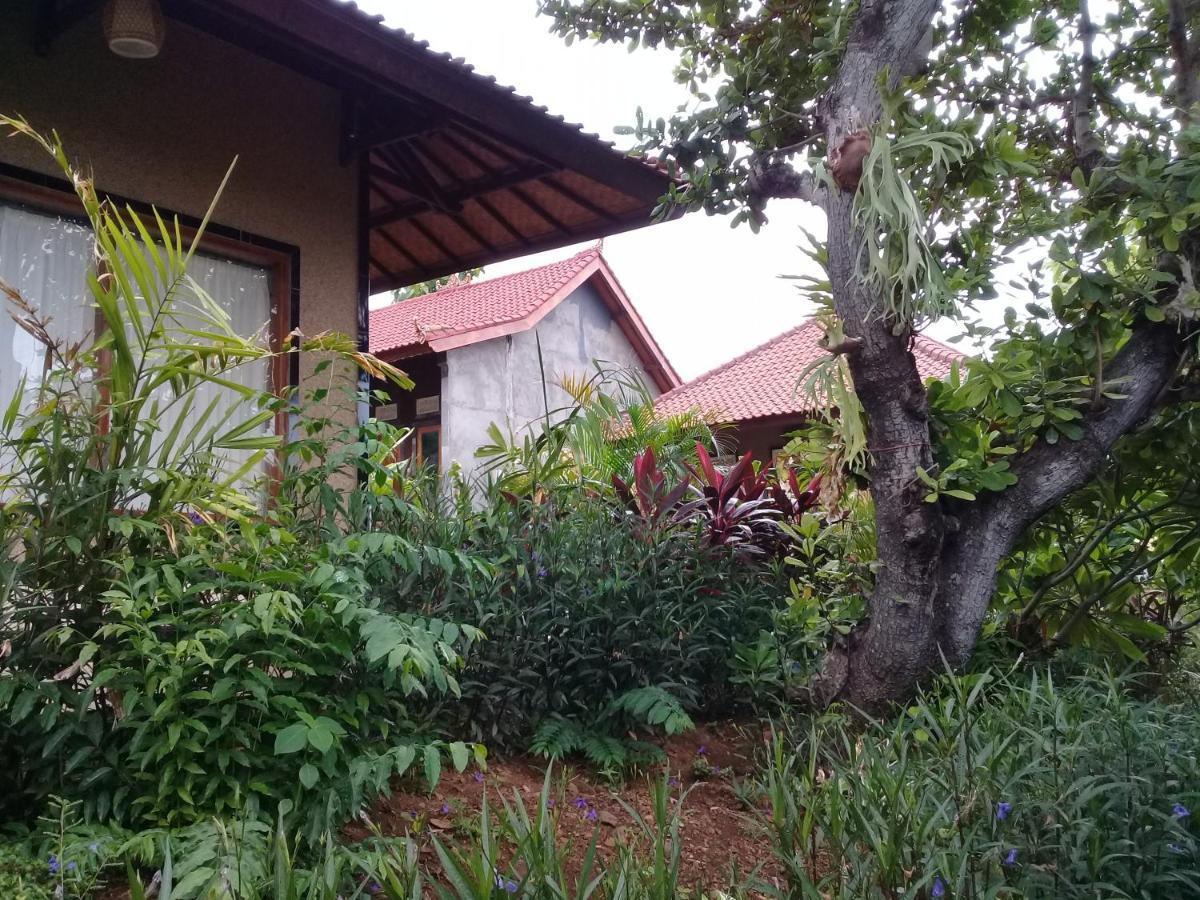 Eliska Sumberkima Pemuteran (Bali) Ngoại thất bức ảnh